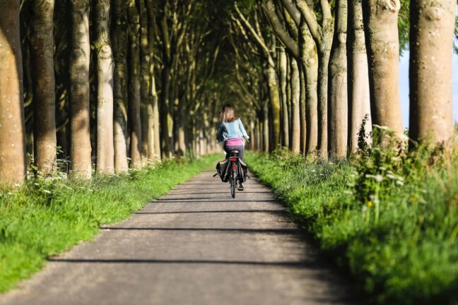 woman cycling through avenue of trees