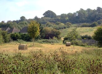 hay bales in autumn sunshine
