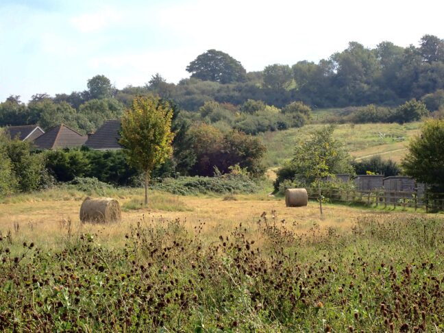 hay bales in autumn sunshine